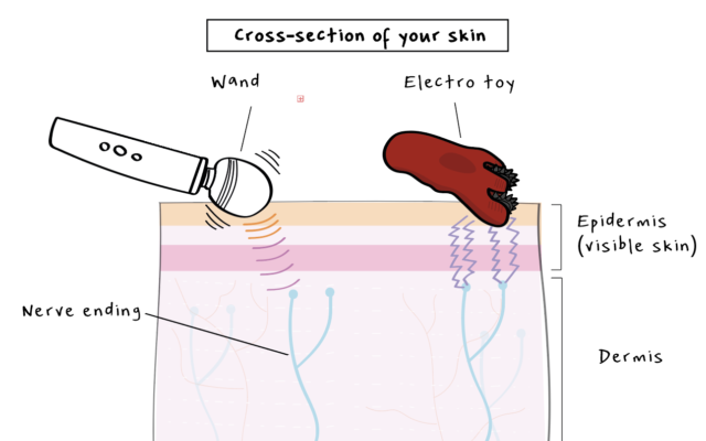 skin.png