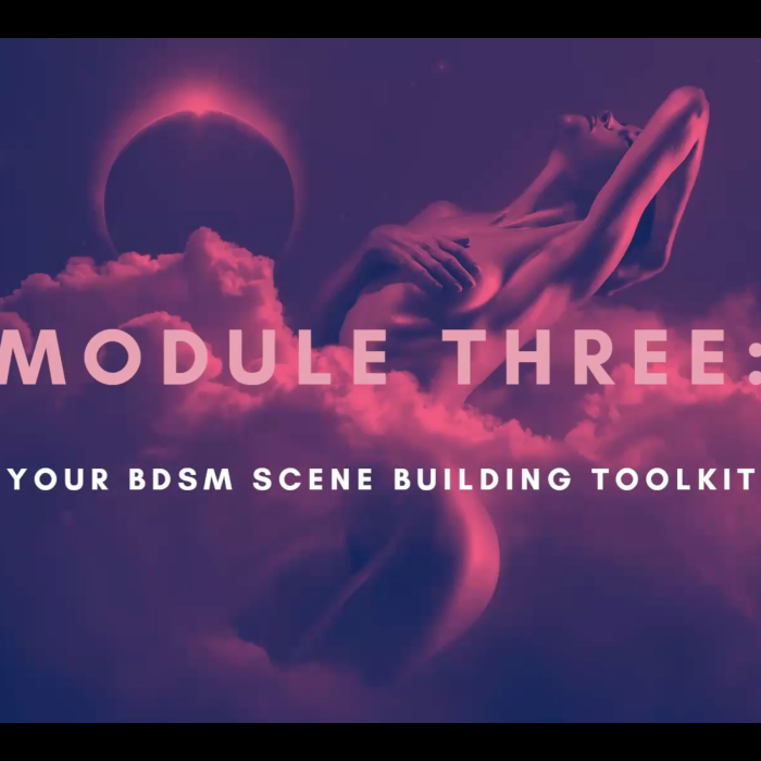 BDSM TOOLKIT XO SEXSCHOOL