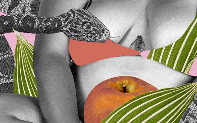Desire Is Not a Drive: How Culture, Stress, and Power Shape Libido_sexschool_xo_sexschoolhub