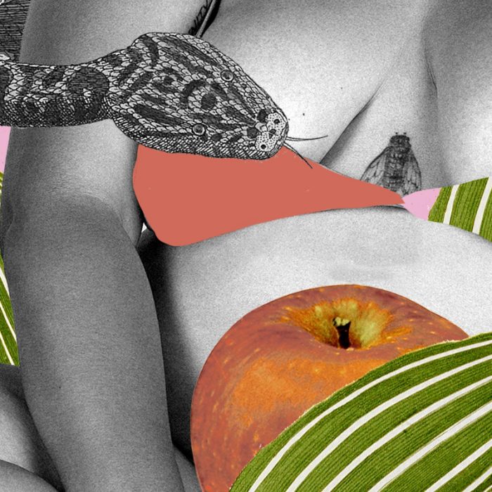 BLOG Desire Is Not a Drive: How Culture, Stress, and Power Shape Libido_sexschool_xo_sexschoolhub1 B copia